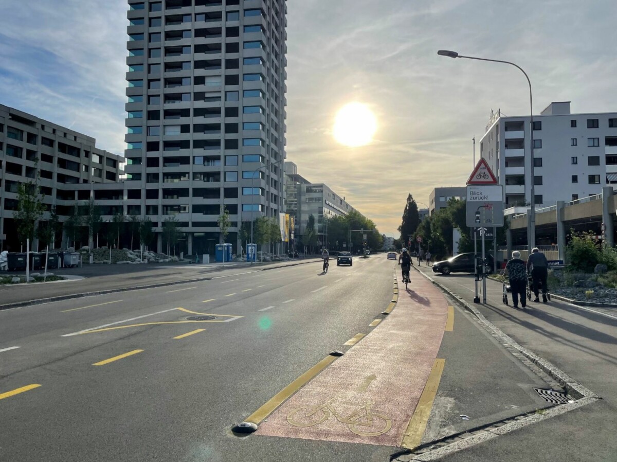 Schutzstreifen mit Schildkröten (https://www.svi.ch/de/blog/geschutzte-radstreifen-im-velolabor-in-zuric-3a40/) Schutzstreifen mit Schildkröten (https://www.svi.ch/de/blog/geschutzte-radstreifen-im-velolabor-in-zuric-3a40/)